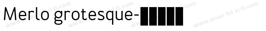 Merlo grotesque字体转换